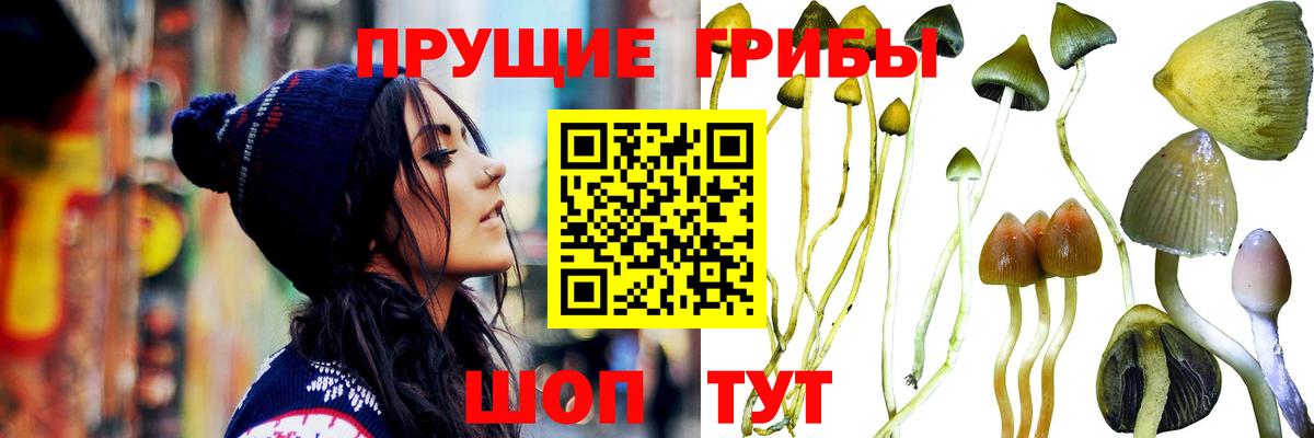 Ногинск  Галлюциногенные грибы мухоморы  Вход с VPN  Галлюциногенные грибы Psilocybine cubensis 